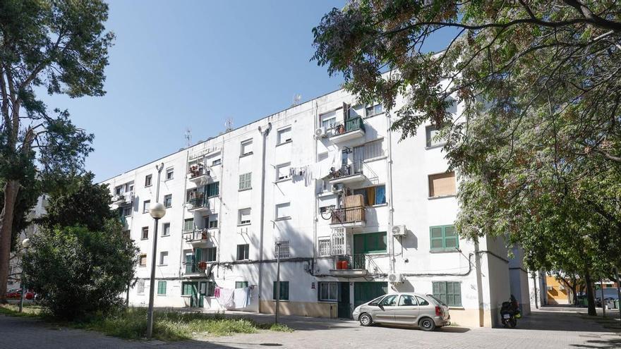 Fotos | La ruta que revela la importancia de Son Gotleu en Mallorca