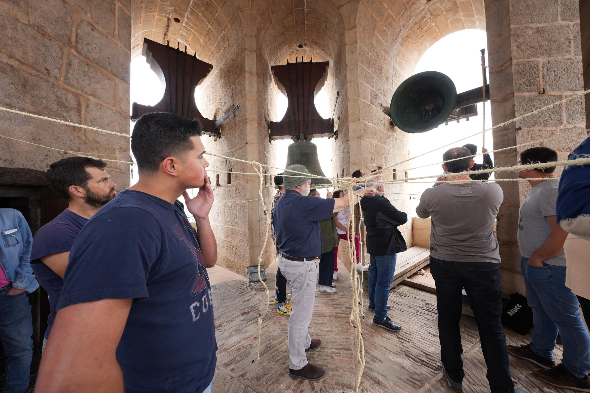 Galería: Los aprendices de campaneros del Fadrí de Castelló