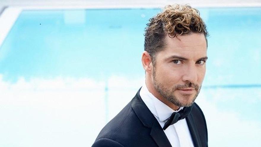 El cantante almeriense David Bisbal.