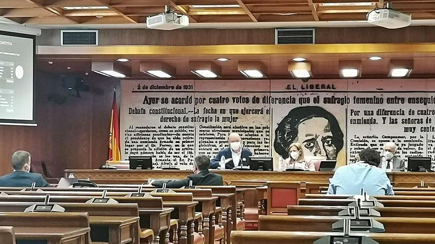 Riera, ayer en la ponencia del Senado.