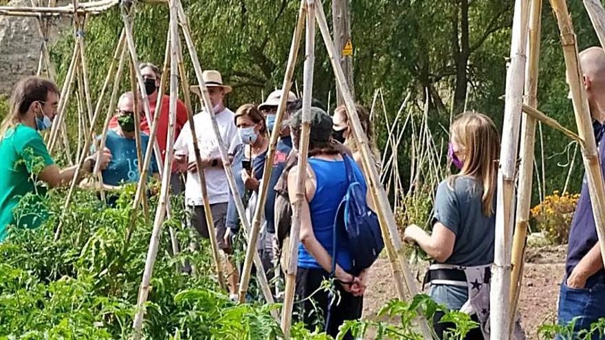 Copons dona a conèixer l’horticultura del municipi en la 1a Mostra Hortícola  | AJUNTAMENT DE COPONS