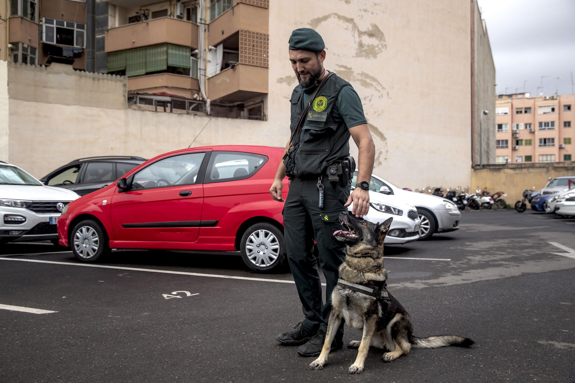Unidad de Guías Caninos de la Guardia Civil