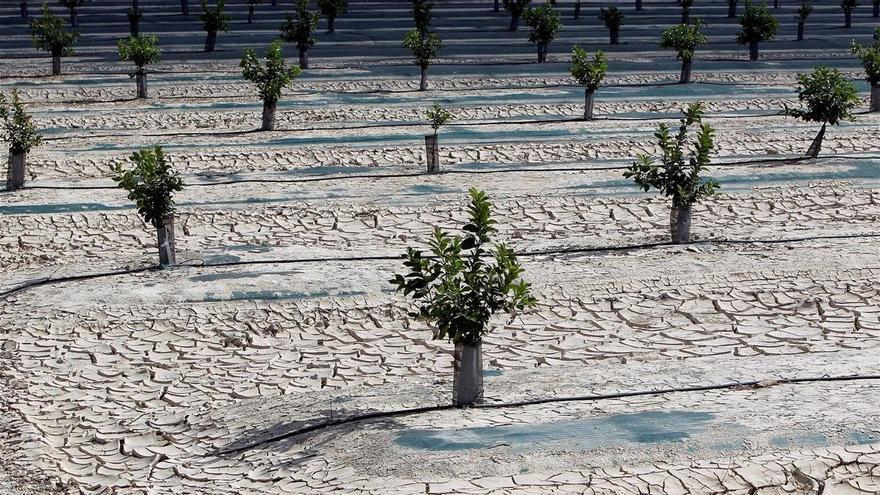 Un grado más y un 18% menos de lluvia en una España en plena crisis climática