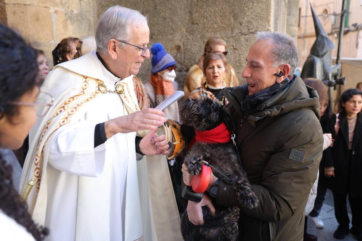 Fotogalería | Así se ha vivido la bendición de las mascotas cacereñas por San Antón