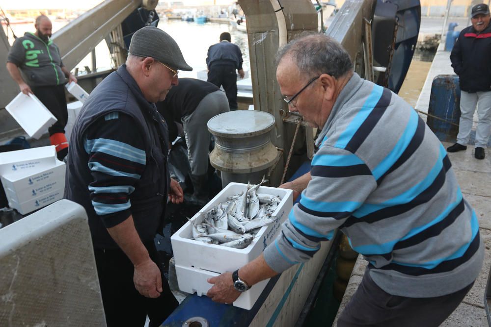 Tan solo cinco compradores y un barco se encargan de llevar el marisco y el pescado de arrastre cada día a la mesa de los malagueños donde la merluza y las gambas son las grandes protagonistas.