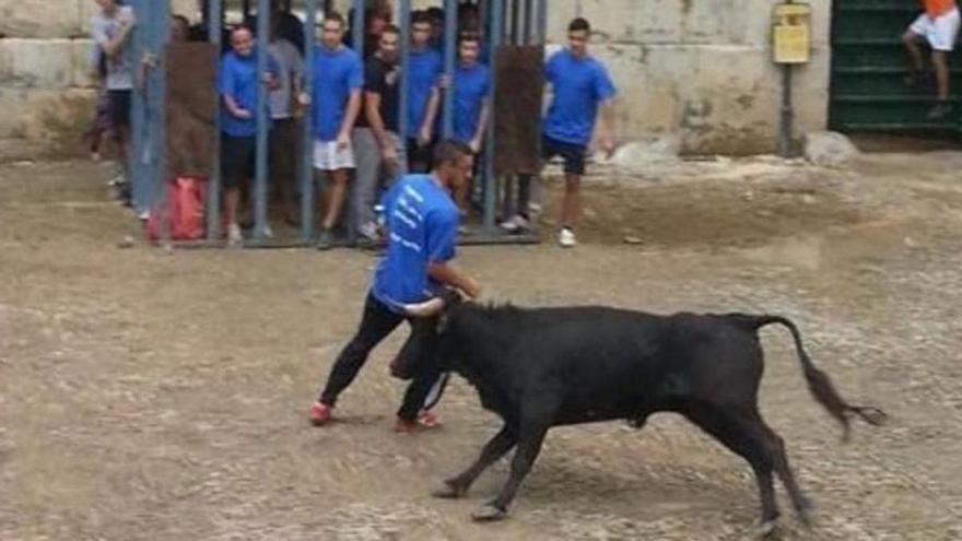 Sorita se queda sin toros en sus fiestas por un error burocrático: envían la documentación fuera de plazo