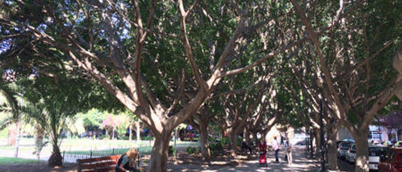 Varios vecinos disfrutando del parque Enrique Granados.