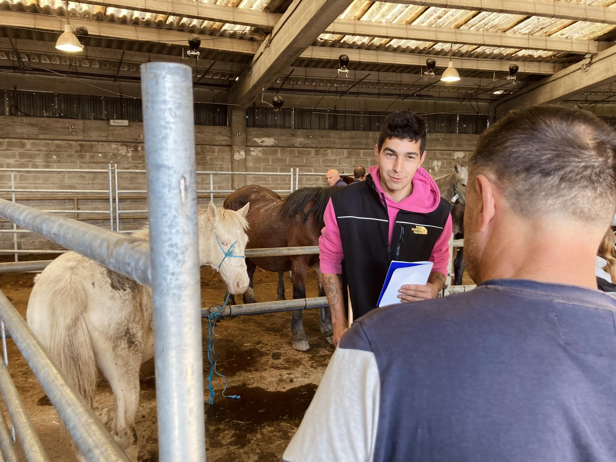 Buenos tratos y ejemplares en la multitudinaria feria equina de San Simón, en Grado