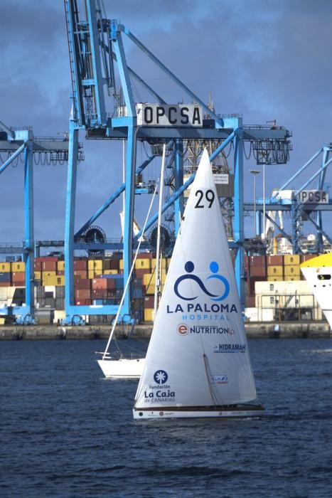 21-09-19 DEPORTES. BAHIA DEL PUERTO. LAS PALMAS DE GRAN CANARIA. Vela latina. Desempate Guanche-Tomás Morales por el título del Campeonato. Fotos: Juan Castro.  | 21/09/2019 | Fotógrafo: Juan Carlos Castro