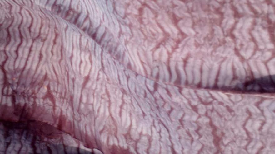 Taller de Shibori Japonés con Cochinilla . Con Marie Isabelle Poirier Troyano