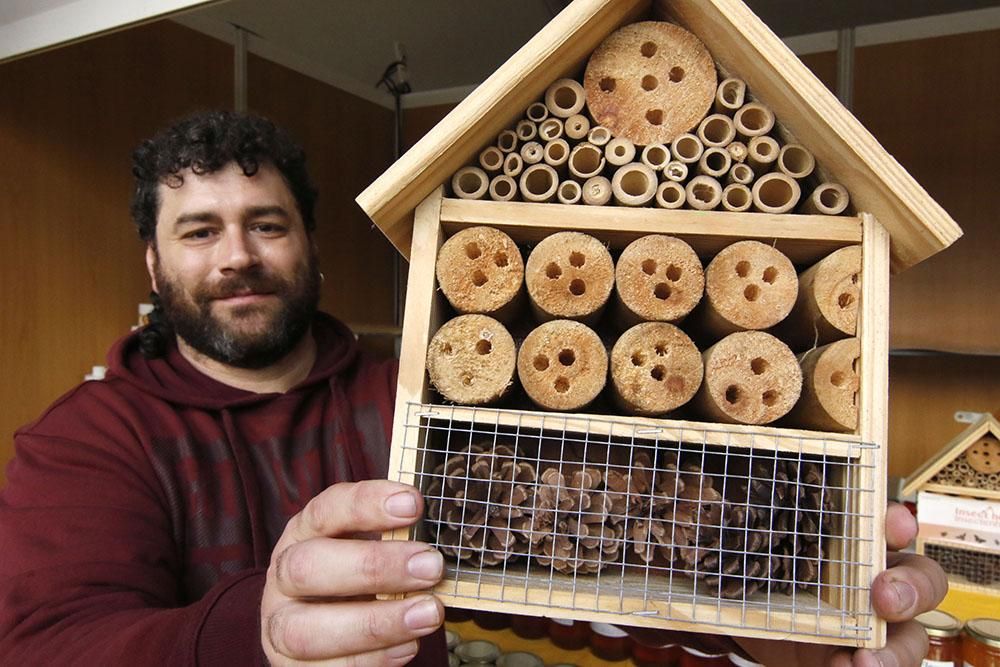 Abejas, cera y mucha miel en Expomiel 2018