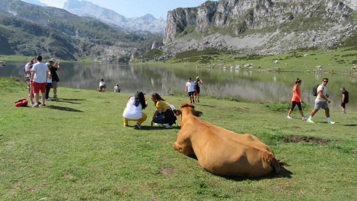 Turistas en Asturias