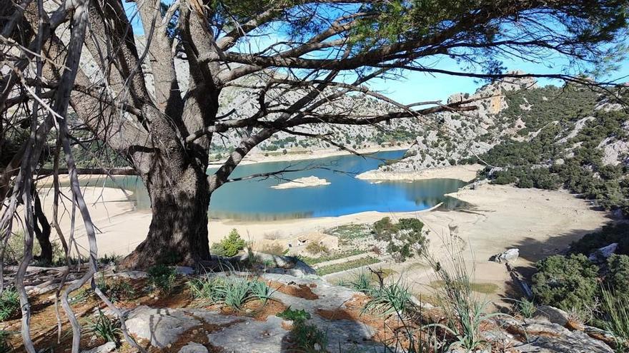 Trotz inselweiter Vorwarnstufe: Keine Restriktionen beim Wasser auf Mallorca geplant