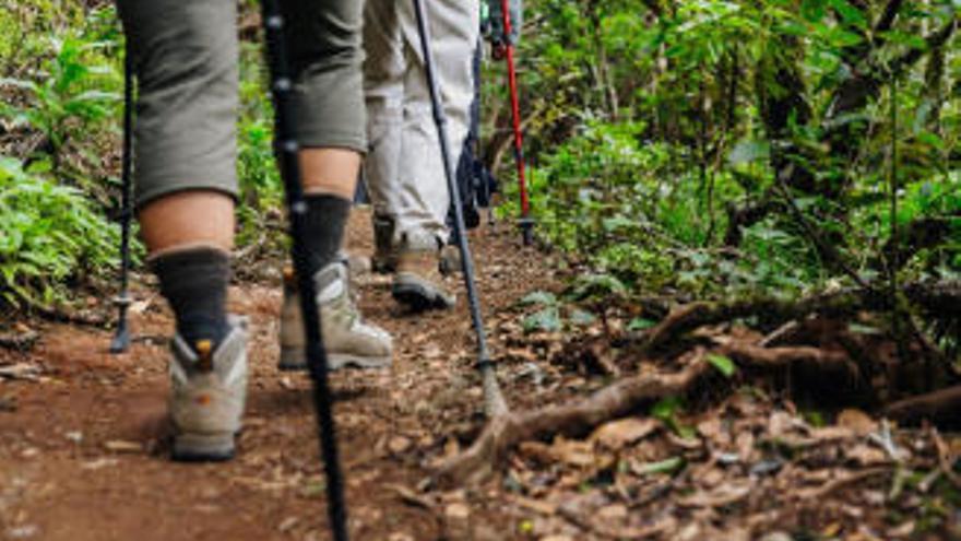 Un grupo de senderistas recorre un camino en Tenerife.