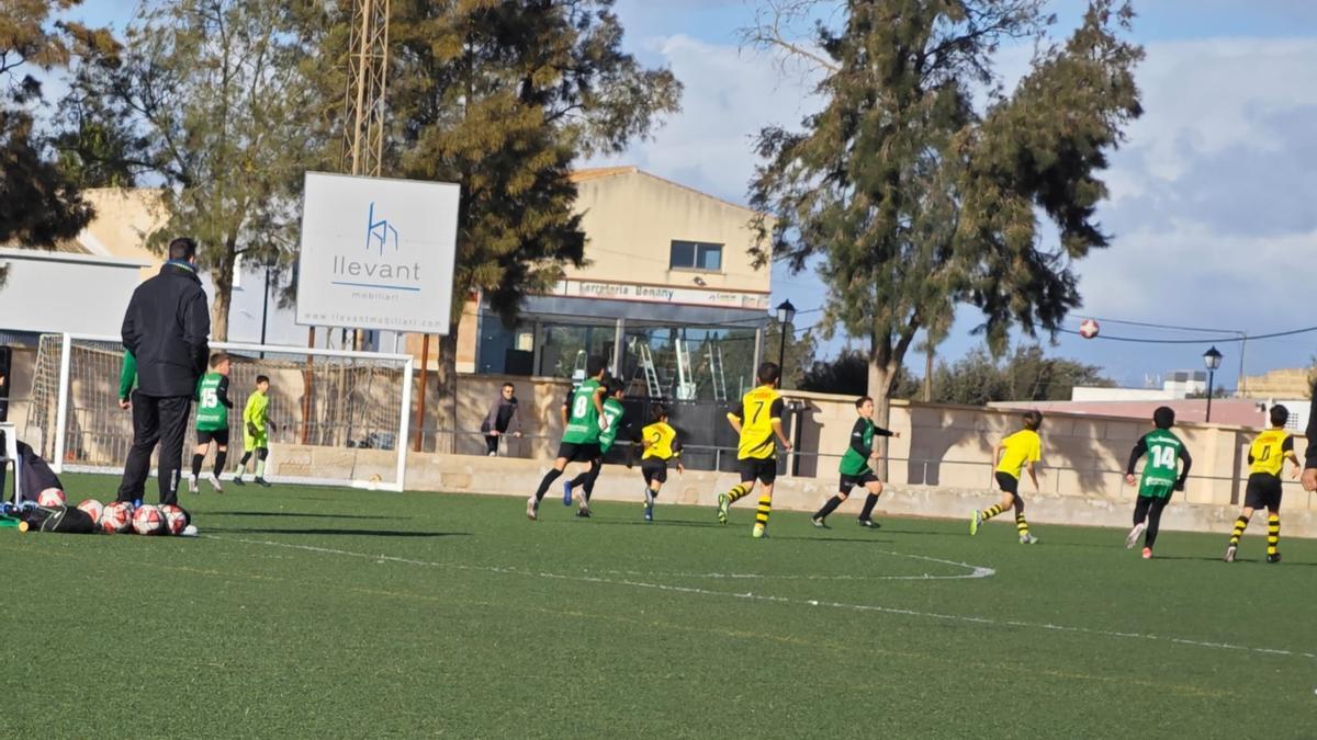 Imagen del partido de alevines entre el Petra B y el Cardassar