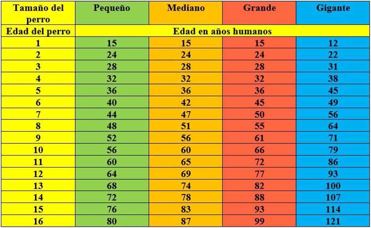 Tabla comparativa entre la edad humana y la edad canina según la Universidad de California