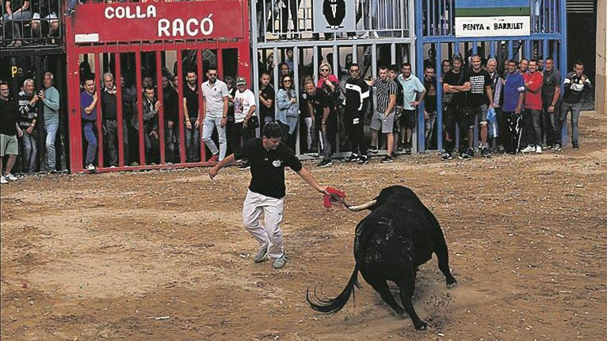 Las peñas de &#039;bous al carrer&#039; reaccionan y plantean acciones para evitar cogidas