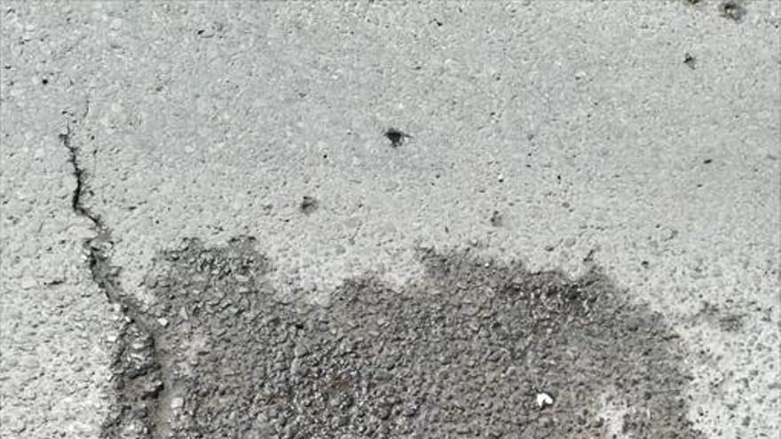 El vecindario de la calle Serrano, en San Roque, sufre una plaga de cucarachas