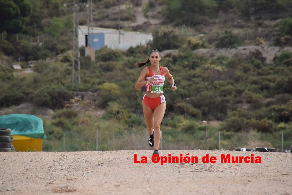 Campeonato Regional de relevos mixtos de atletismo