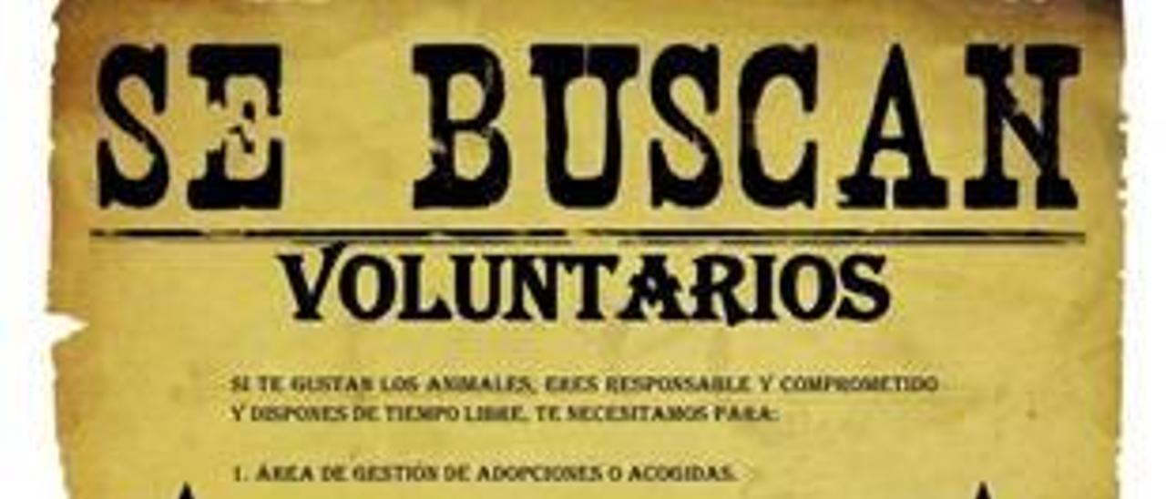 La protectora busca voluntarios