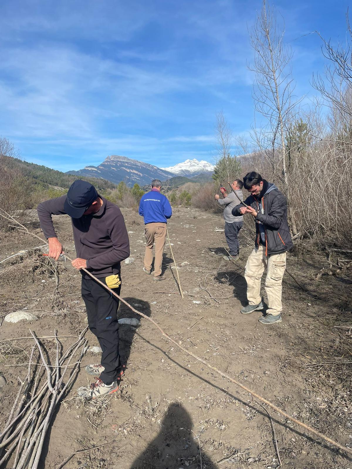 Nabateros en plena faena.