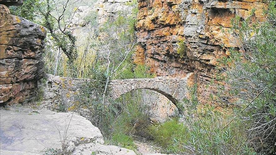 Els parcs naturals de Castelló faran veure la gran importància de l’aigua