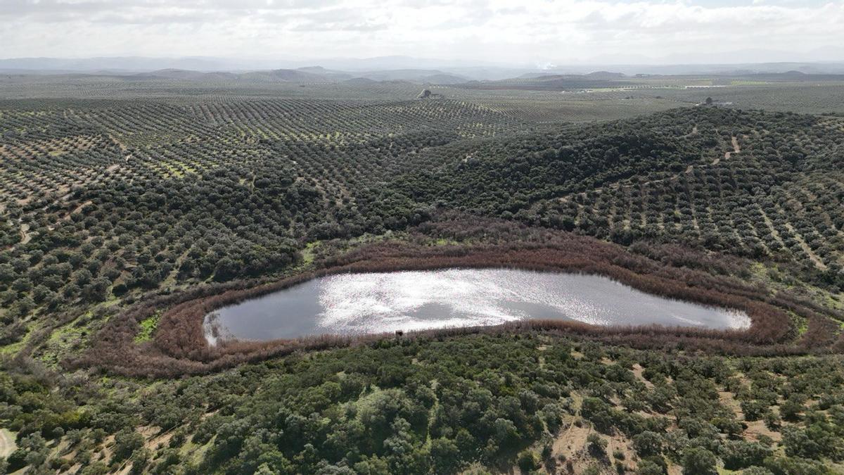 Las lagunas del sur de Córdoba, a vista de pájaro