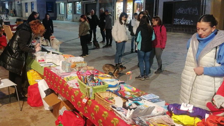 Animales Abandonados se suma al carnaval de Toro