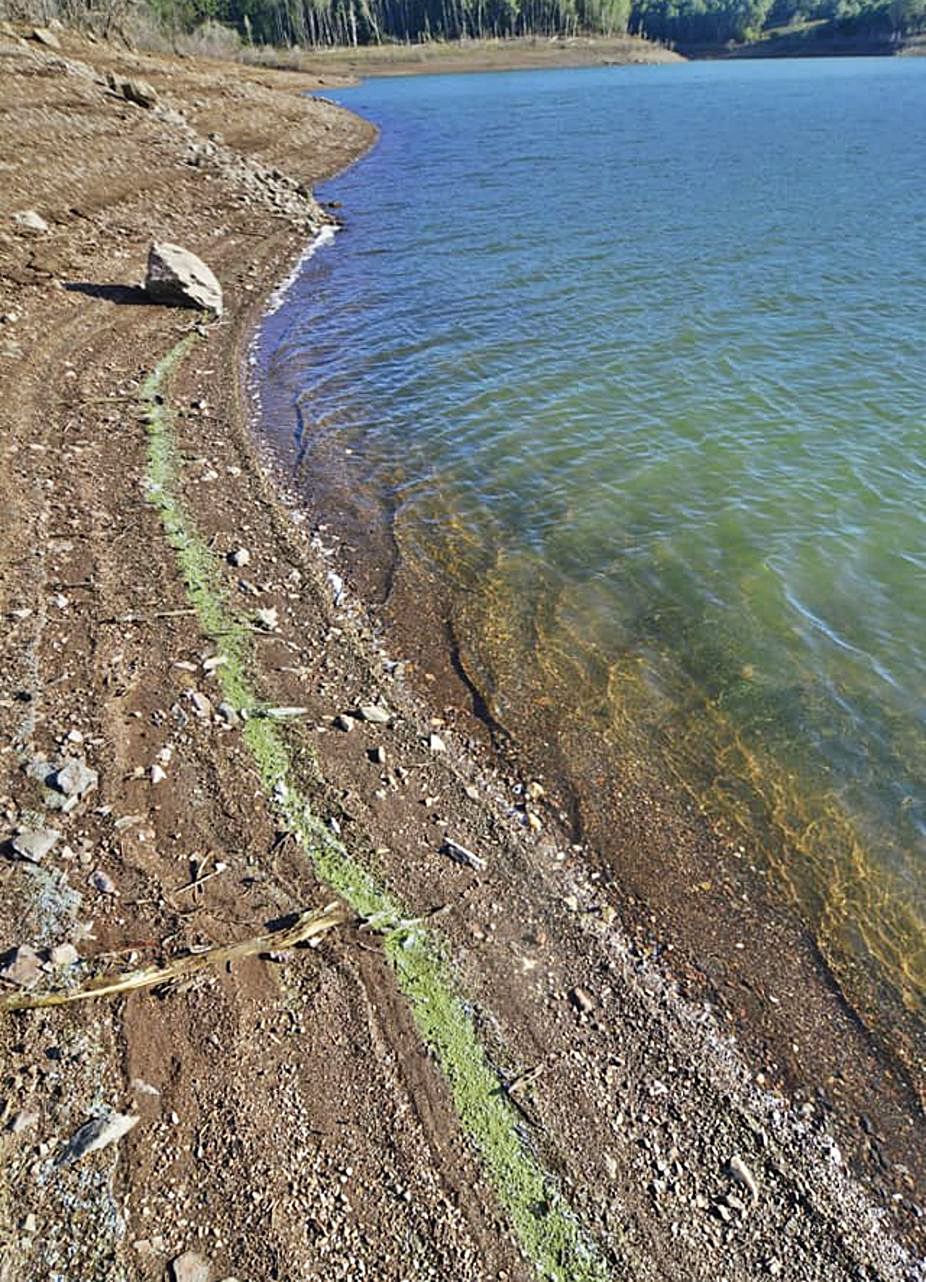 Marca verdosa en la orilla tras bajar la cuota de agua.