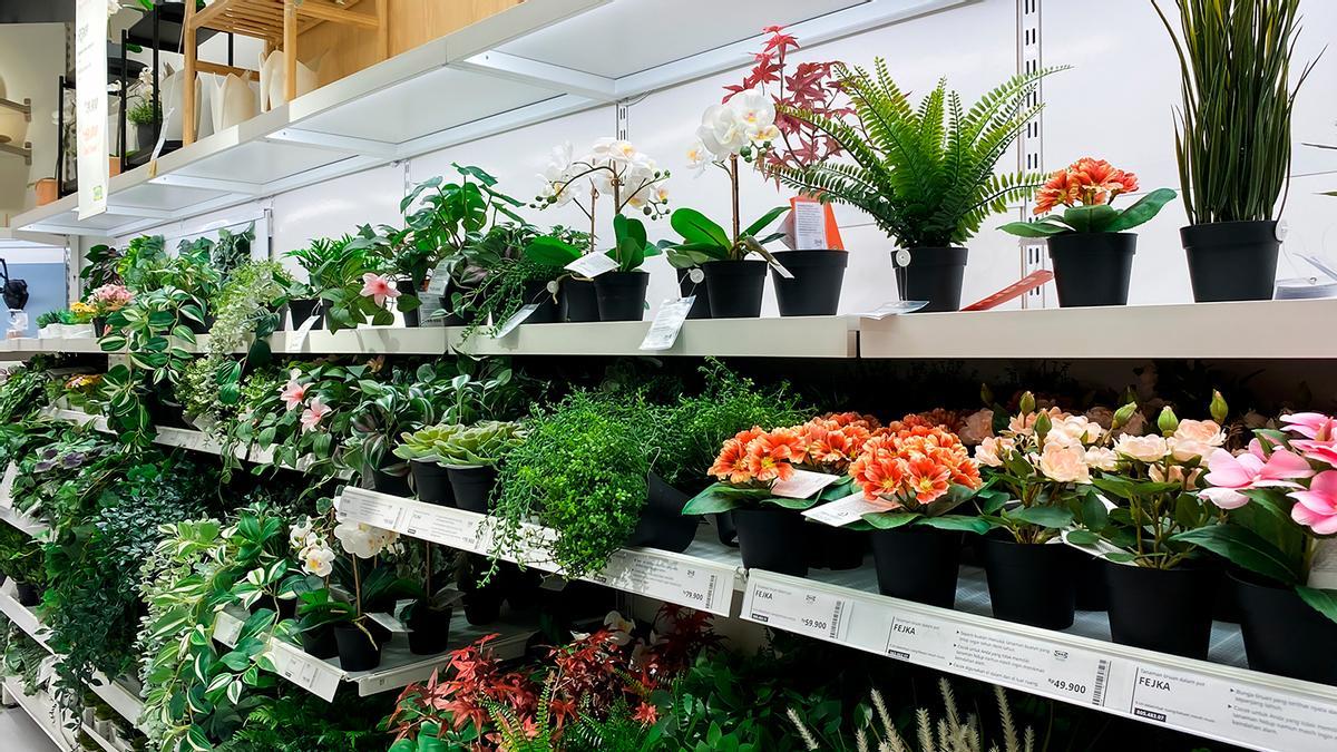 Adiós a regar las plantas: la maceta de Ikea que lo hace por ti de forma automática