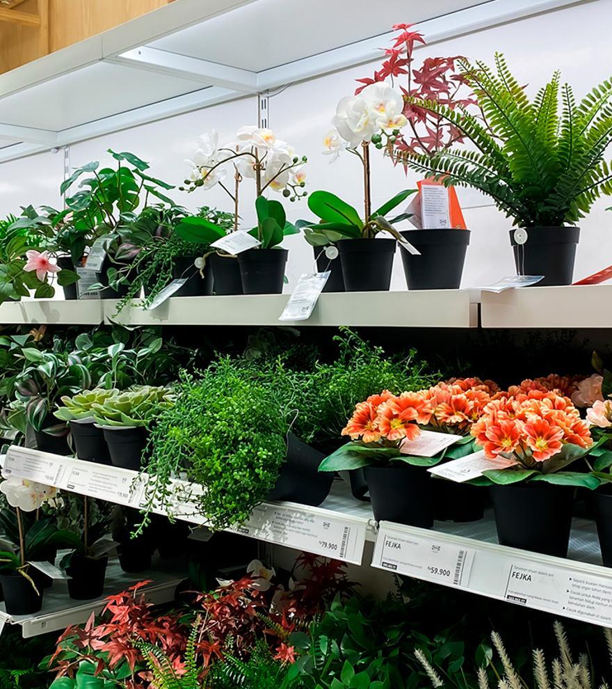 Adiós a regar las plantas: la maceta de Ikea que lo hace por ti de forma automática