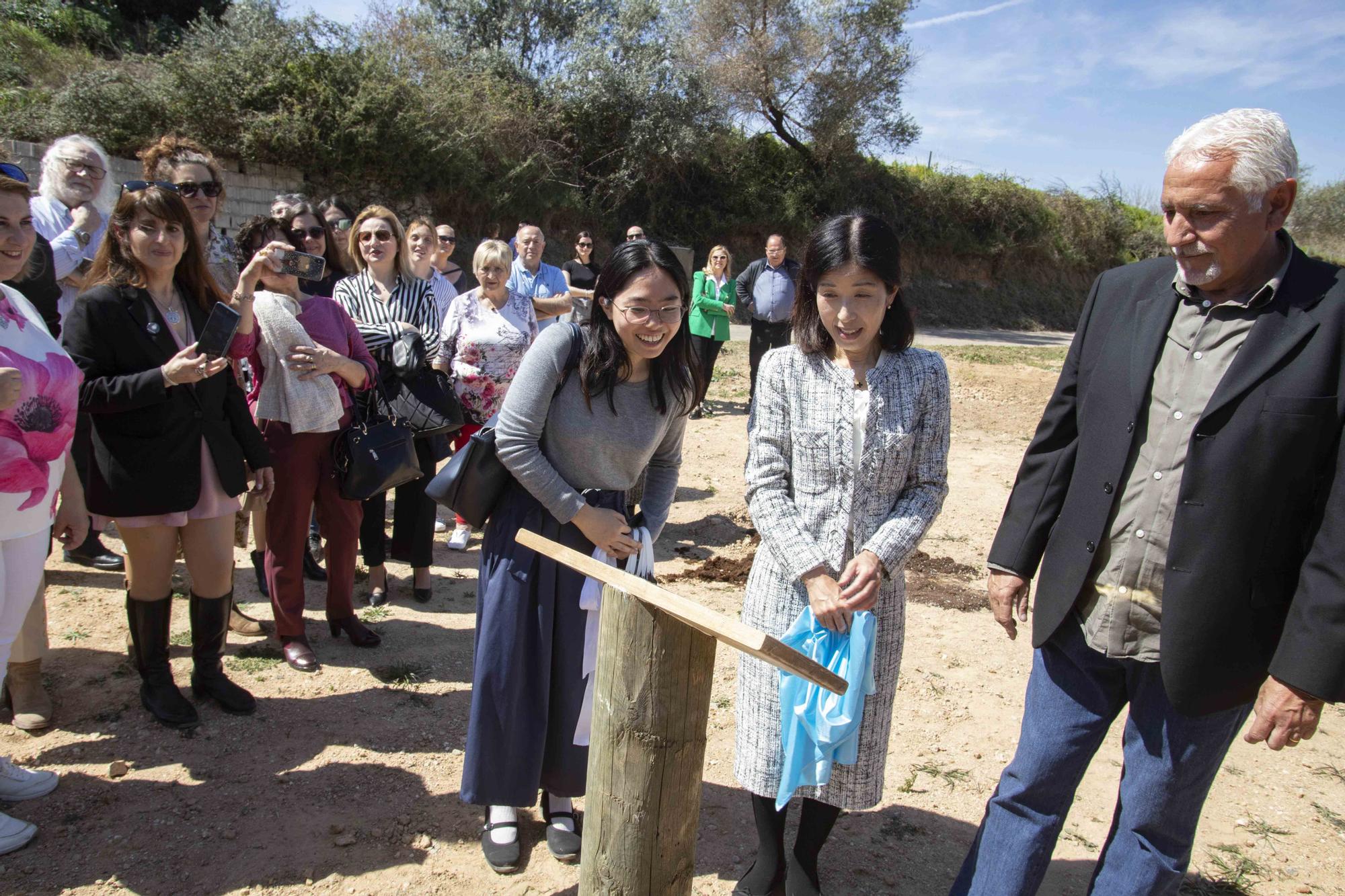 El país del sol naciente conquista Estubeny