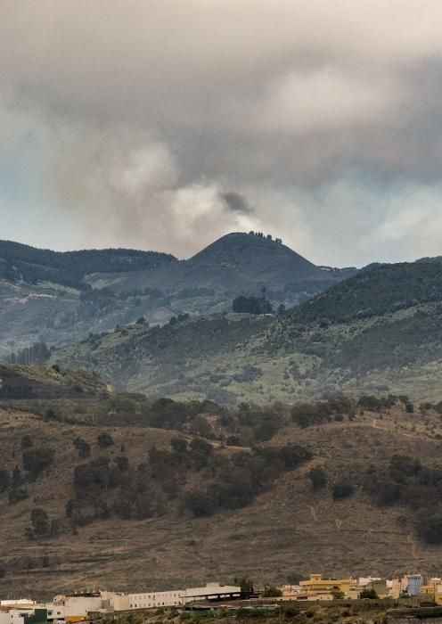 LAS PALMAS DE GRAN CANARIA. Vista incendio en la cumbre  | 11/08/2019 | Fotógrafo: José Pérez Curbelo