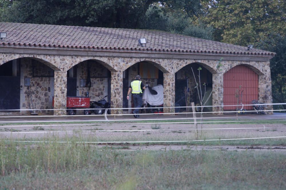 Macrooperatiu contra el tràfic de marihuana i el blanqueig de capitals - Maçanet de la Selva