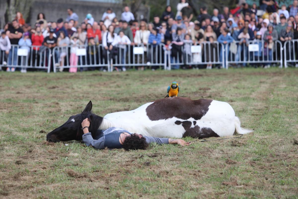 La XXXV Feira do Cabalo de Lalín cerró ayer su segunda y última jornada con una notable afluencia de público