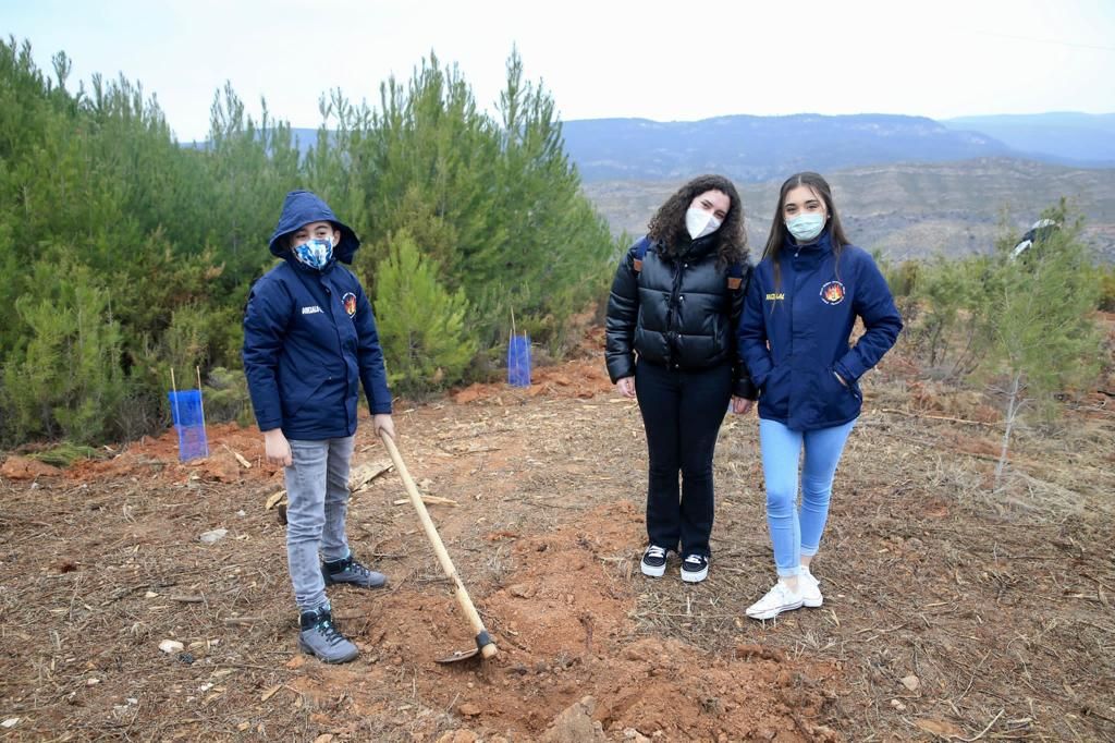 Carmen y la corte se suman a la "plantà verda" de las Fallas