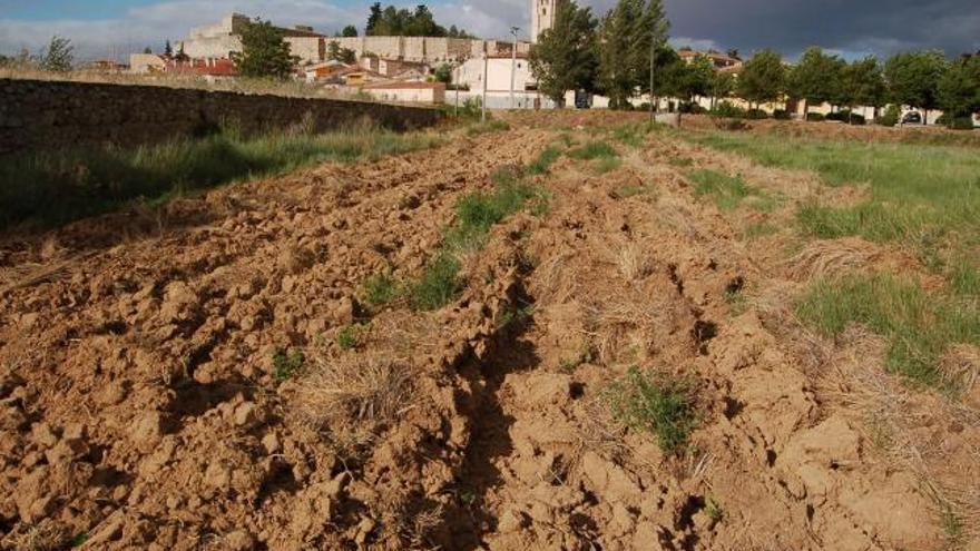 Terrenos donde los vecinos de Olivares reclaman la creación de huertos urbanos