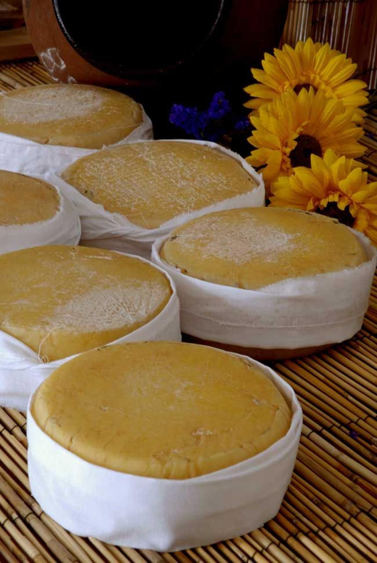 Quesos típicos de la gastronomía alentejana