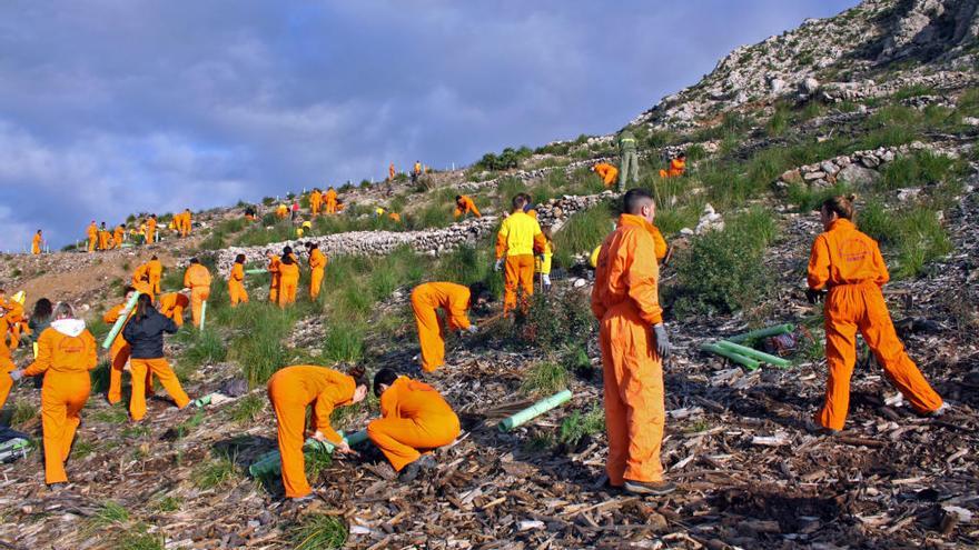 Baleares, puntera en Europa en la gestión post-incendio