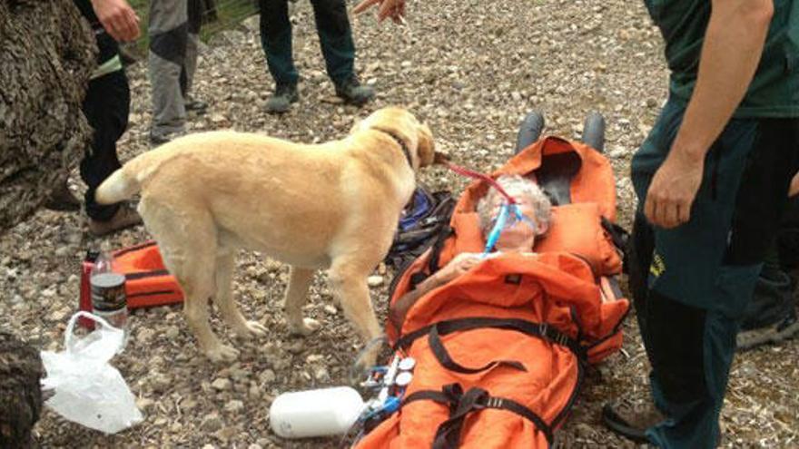 Hallan en Sóller a la anciana desaparecida desde el domingo