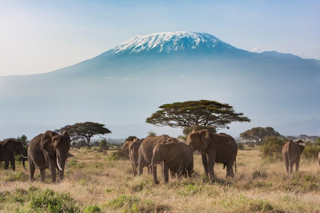 Monte Kilimanjaro