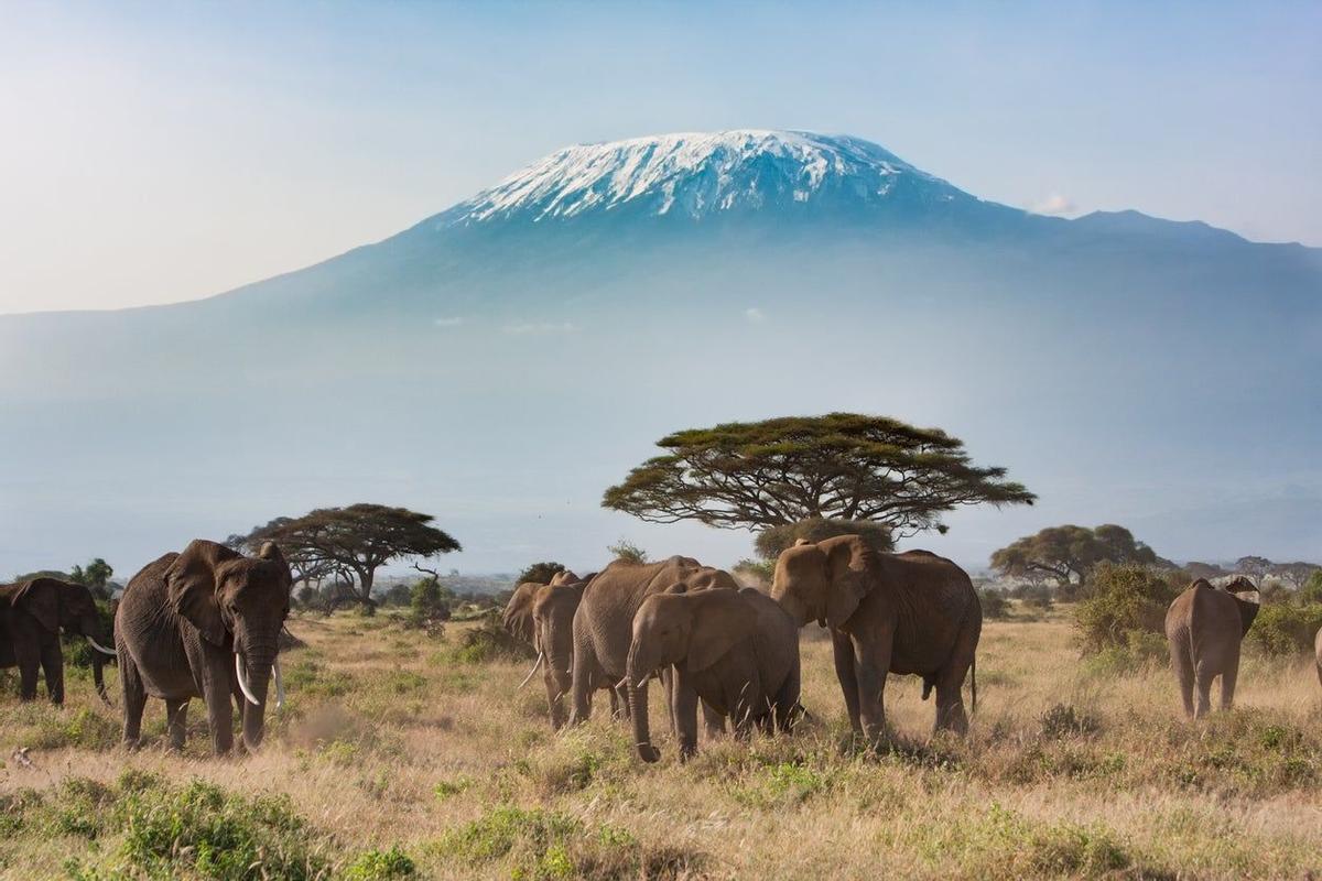 Kilimanjaro, monte