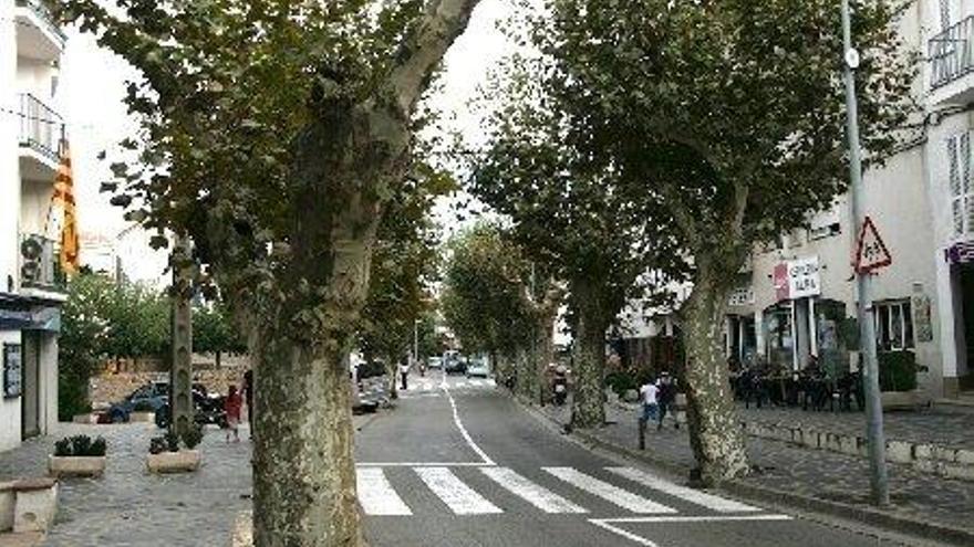 Els arbres que l&#039;Ajuntament ha decidit talar