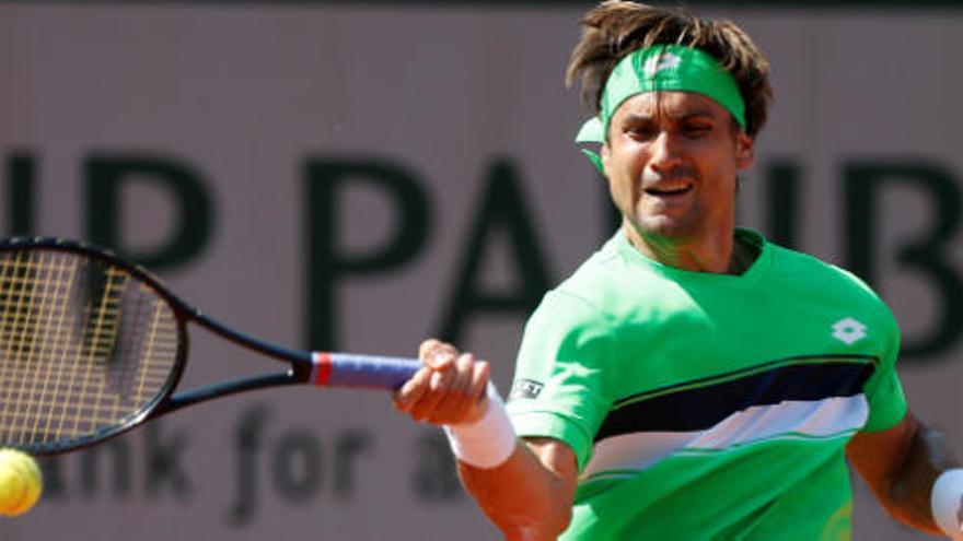 David Ferrer