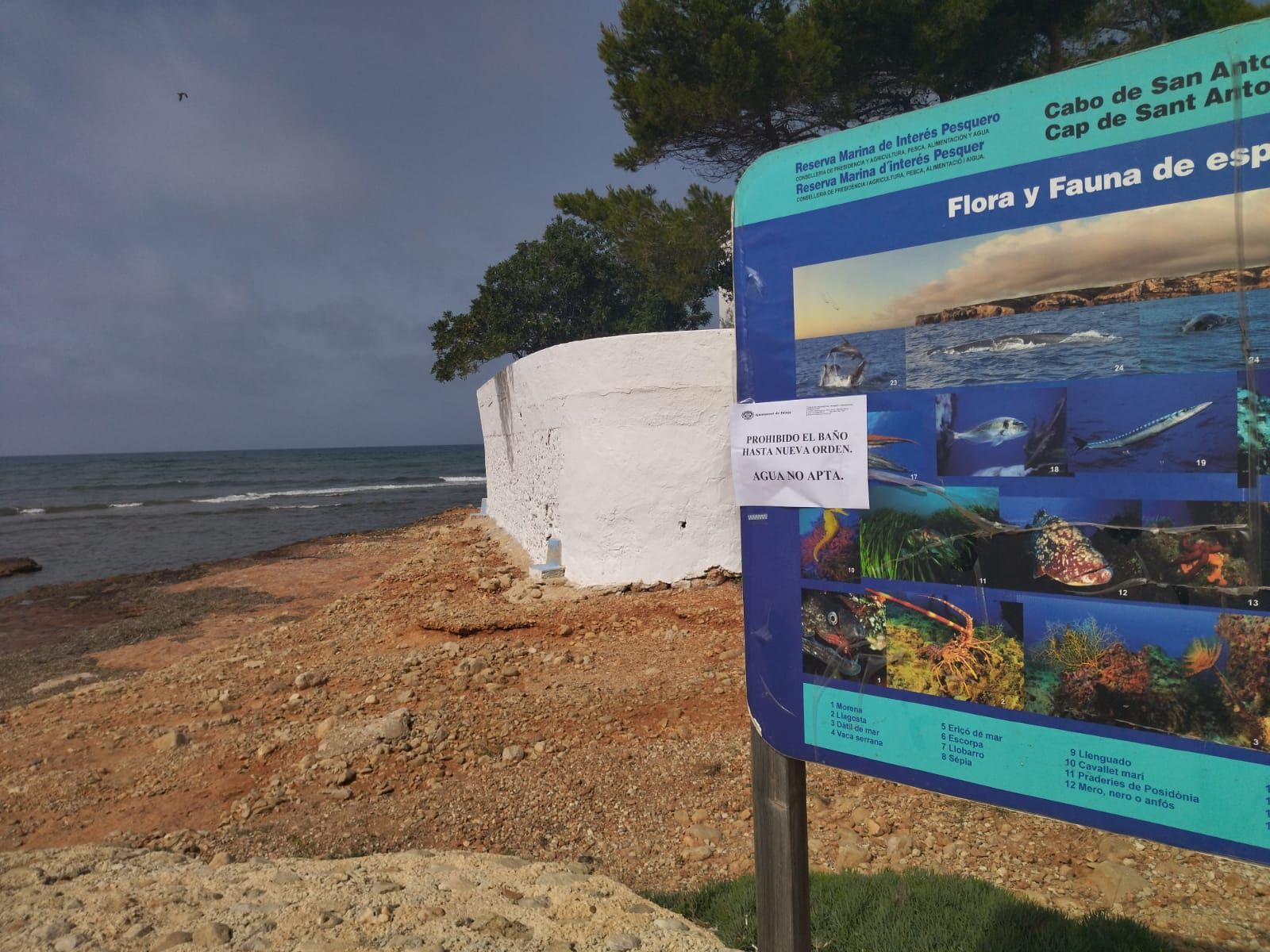 Les Rotes de Dénia, primera playa del verano cerrada por vertidos (imágenes)