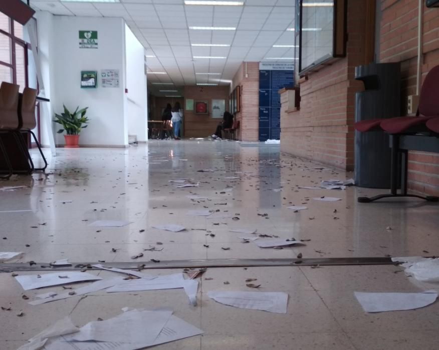 Las imágenes de la huelga de limpieza en la Universidad de Málaga