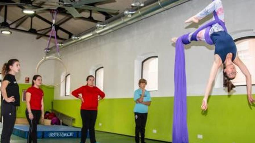 Algunos de los alumnos que han asistido al taller practicando diferentes acrobacias con telas y aros en el complejo deportivo municipal Eduardo Latorre.