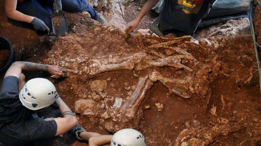 El esqueleto de una especie extinguida de rinoceronte.