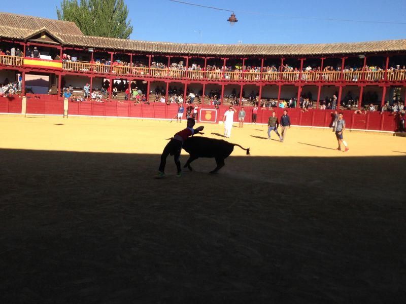 Toro de cajón y encierro urbano en Toro