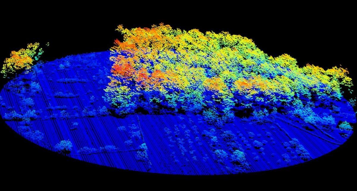 Cartografia forestal basada en datos lidar.